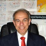 Arturo Manzo-Fontes's Avatar